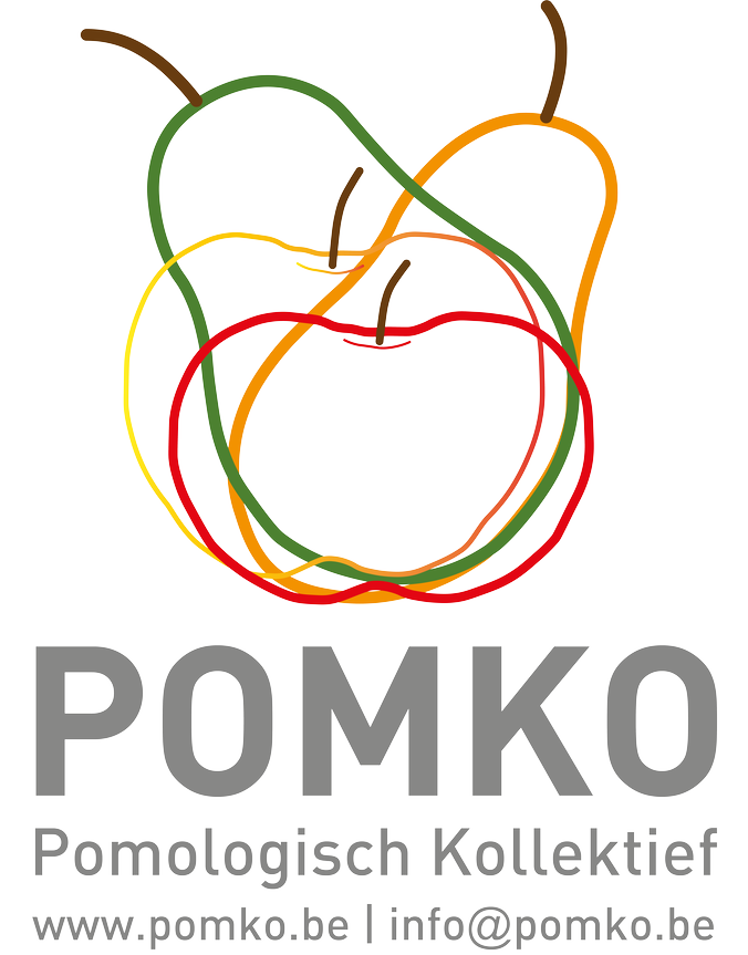 Pomko Feest in de Boomgaard